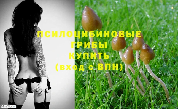 стафф Усмань