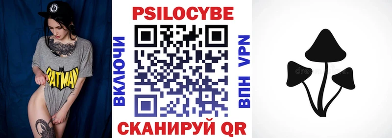 Галлюциногенные грибы Psilocybe  Шиханы 